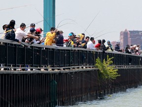 Hundreds of people fish for silver bass along the Detroit River at Centennial Park, Saturday, May 18, 2013.  Silver bass are currently spawning in the Detroit River and migrating to Lake St. Clair.  (DAX MELMER/The Windsor Star)