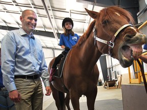 The Windsor-Essex Therapeutic Riding Association received $596,000 in federal funding Friday, May 17, 2013. A media conference was held at the Essex, Ont. facility hosted by MP Jeff Watson. Watson meets Alysha Smith, 8, a rider with the association and Rebel the horse who appears to be laughing along with the MP. (DAN JANISSE/The Windsor Star)