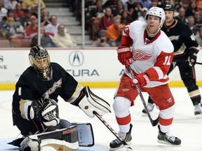 Detroit's Daniel Cleary, right, deflects a shot on Anaheim goalie Jonas Hiller in Game 2 Thursday. (Photo by Harry How/Getty Images)