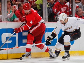 Detroit's Jakub Kindl, left, and Anaheim's Andrew Cogliano battle during Game 4of the Western Conference Quarter-finals at Joe Louis Arena on May 6, 2013 in Detroit. (Gregory Shamus/Getty Images)