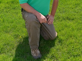 Pat Hebert, groundskeeper at Roseland Golf and Country Club, offers homeowners tips on how to keep their lawns lush and healthy.
 - Ed Goodfellow: Special to The Star