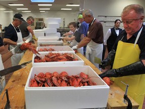Volunteers from the Rotary Club of Windsor-Roseland prepare lobsters for the 2013 Lobsterfest 2013 at the Ciociaro Club in Tecumseh, Ontario. (JASON KRYK/The Windsor Star)