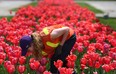 Liz Fader tends to the flowers in Coventry Gardens in Windsor on Thursday, May 9, 2013. Fader is a part of the summer student staff.                         (TYLER BROWNBRIDGE/The Windsor Star)