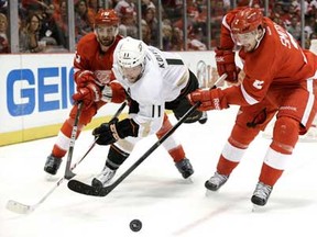 Anaheim's Saku Koivu, centre, is defended by Detroit 's Kyle Quincey, left, and Brendan Smith in Game 6 in Detroit, Friday, May 10, 2013. (AP Photo/Paul Sancya)