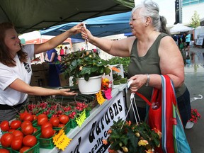 Sheila Quinlan, right, buys some flowers from Bouchard Gardens at the Downtown Windsor Farmer's Market on its opening day at Charles Clark Square, Saturday, June 1, 2013.  (DAX MELMER/The Windsor Star)