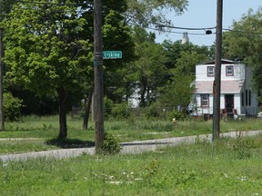 Only a few homes remain in a neighbourhood on Detroit's east side on Tuesday, June 4, 2013. Close to 10 square blocks of homes were demolished by the Detroit Blight Authority. Large areas are being targeted by the organization as a way of having more impact on blighted neighbourhoods.             (TYLER BROWNBRIDGE/The Windsor Star)