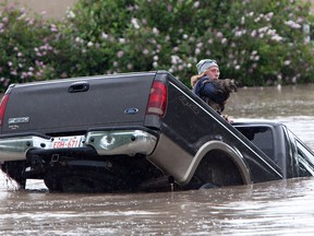 Kevan Yaets swims after his cat Momo to safety as the flood waters sweep him downstream and submerge the cab in High River, Alberta on June 20, 2013 after the Highwood River overflowed its banks. Hundreds of people have been evacuated with volunteers and emergency crews helping to aid stranded residents. - (THE CANADIAN PRESS/Jordan Verlage)