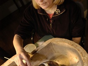 Egyptologist Mimi Leveque begins to remove salt deposits from the face of a 2,500 year-old mummy at Massachusetts General Hospital in Boston, in this Jan. 6, 2003 file photo. An expert trained in restoring ancient artifacts will remove the mummy from his coffin Friday June 7, 2013 and use cotton swabs to clear salt deposits from his face. The salt is a byproduct of the mummification process. His coffin will also be repaired and stabilized. (AP Photo/Josh Reynolds, File)