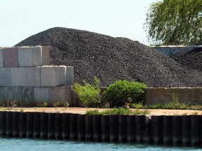 Piles west of the Kingsville dock. (Handout photo for The Windsor Star/KIERAN McKENZIE, office of Brian Masse, MP)