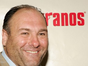 Actor James Gandolfini attends The Sopranos: The Complete Fifth Season DVD launch party on June 6, 2005 in New York City.  (Getty Images files)