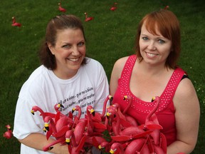 Files: Jodi Robinson, left, and Aline Martin, from Flocking for a Cure, which raises money for breast cancer research, flock an unsuspecting home on the 4100 block of Mitchell Crescent in South Windsor, Friday, June 28, 2013.  (DAX MELMER/The Windsor Star)