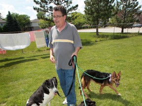 John Dunn, a member of the For The Love of Paws Animal Rescue is shown Monday, June 17, 2013, in Windsor, Ont. with four dogs that were rescued from Beirut, Lebanon. The animals endured a 24-hour flight and 11-hour car ride.   (DAN JANISSE/The Windsor Star)