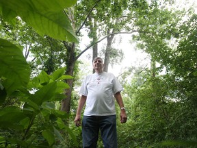 In this file photo, retired teacher and Windsor environmentalist Tom Henderson, chairman of the public advisory council of Detroit Canadian Cleanup,  walks near the Ojibway Shores forest in west Windsor on June 27, 2013. (JASON KRYK/The Windsor Star)