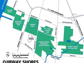 Environmentalists are protesting a proposal by the Windsor Port Authority for clearing and infilling its Ojibway Shores property for industrial/port development. Opponents argue Windsor's last remaining stretch of natural shoreline provides an important ecological link between the Detroit River and the Ojibway Prairie Complex, shown here.  (Handout)