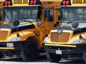 School buses lined up in Windsor.  (NICK BRANCACCIO/The Windsor Star)