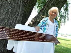 Jeannette Campeau is photographed under a willow tree in Coventry Gardens in Windosr on Wednesday, June 26, 2013. Campeau and her late husband planted the tree in 1953.                 (TYLER BROWNBRIDGE/The Windsor Star)