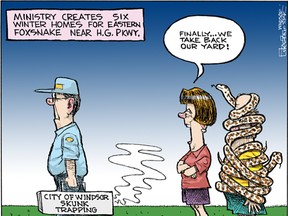 Mike Graston's Colour Cartoon For Friday, July 12, 2013