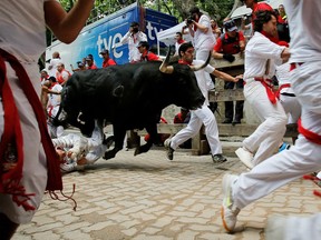 Revellers run with a fighting bull entering the bullring during the eighth day of the San Fermin Running Of The Bulls festival on July 13, 2013 in Pamplona, Spain. A group inspired by the running of the bulls in Pamplona is planning to unleash bulls in several U.S. cities to sprint through fenced-in courses as daredevils try to avoid being trampled. (Pablo Blazquez Dominguez/Getty Images)