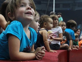 Samantha Erwin, 4, watches as an elephant gives rides to children at the Summer Circus Spectacular at the WFCU Centre in Windsor, Ont., Sunday, July 21, 2013.  (DAX MELMER/The Windsor Star)