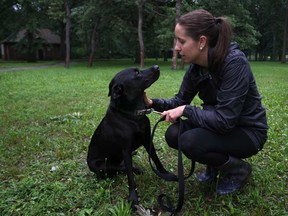 Stacey Boutette, 26, is pictured with her one-year-old black lab, Dexter, at Optimist Memorial Park in Windsor, Ont., Monday, July 1, 2013.  Boutette says she encountered two coyotes at the park last week while walking Dexter.  (DAX MELMER/The Windsor Star)