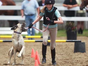 Sarah Cada, 14, performs with her six-year old English mastiff, Bella, in the RAM Equestrian Jumper Show Hoof and Woof Relay at the Harrow Rock 'N Horse Fest at Cider Mill Farms, Sunday, June 30, 2013.  (DAX MELMER/The Windsor Star)