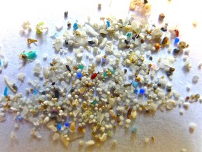 Microbeads from samples in the eastern half of Lake Erie. (Courtesy of Marcus Eriksen)