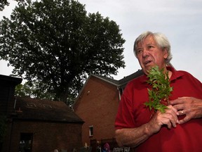 Homeowner John McKay is seen in this file photo. (Nick Brancaccio/The Windsor Star)