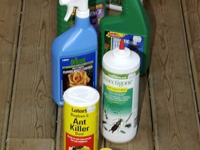 File photo of insecticides, pesticides and herbicides. (Windsor Star files)