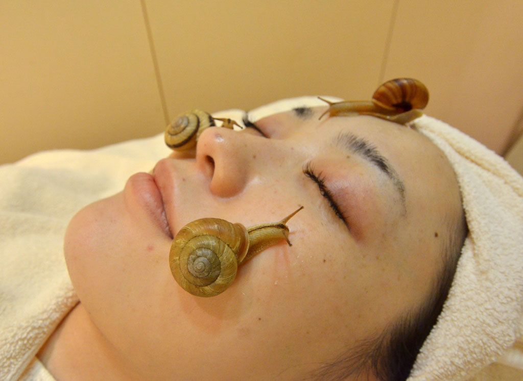 A snail facial for smooth skin (With Video) | Windsor Star