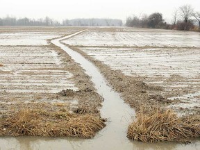 File photo of a flooded farm field in Essex County.