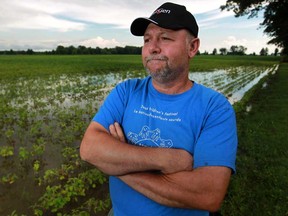 Mark Balkwill, co-owner of Harcliff Farms in Harrow, stands next to a field of soybeans that have been damaged from too much rain, Tuesday, July 23, 2013.  (DAX MELMER/The Windsor Star)