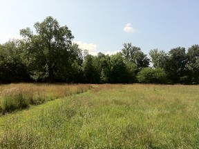 Black Oak Heritage Park, which is adjacent to Ojibway Shores, is shown in this July 12, 2013 image. (Dalson Chen / The Windsor Star)