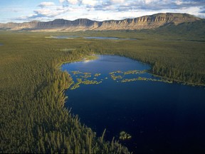 Ecologists are sounding the alarm over Canada's boreal forest which has been recently called "one of the world's greatest natural treasures." (HANDOUT PHOTO:  D. Langhorst)