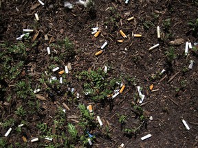 Cigarette butts lie scattered on the ground. (Dax Melmer/The Windsor Star)