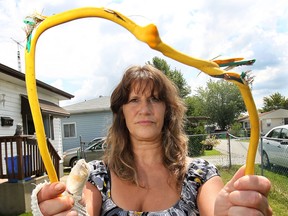 Alita Hamilton poses with the damaged extension cord that severely burnt her hand recently while she was using an electric lawnmower. The accident occurred at her Lakeshore, Ont. home.  (DAN JANISSE/The Windsor Star)