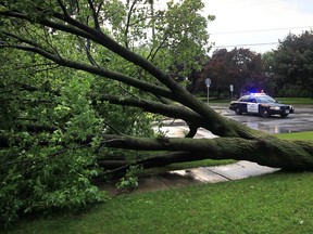 An Ontario Provincial Police vehicle blocks the road at Lacasse Blvd. and Little River Blvd. in Tecumseh, Ontario after strong storms crossed the area.   Numerous trees were down in the Tecumseh and Lakeshore.  (JASON KRYK/The Windsor Star)