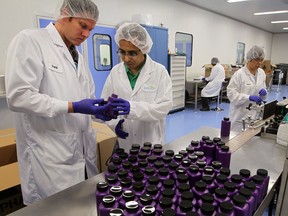 Grant Bourdeau, left, president of Suntrition and Dr. Indrajit Sinha, CEO of Biomedcore, look at 250-cc bottles of health supplements. (NICK BRANCACCIO / The Windsor Star)