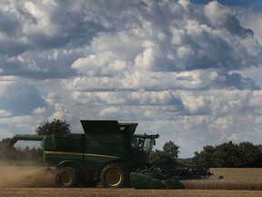 A farmer harvests wheat on Walls Rd. Thursday, July 11, 2013, in Lakeshore, Ont.  (DAN JANISSE/The Windsor Star)