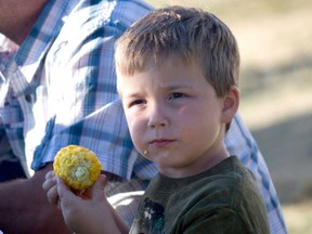 Matteo Lopes, 5, enjoys the fresh corn at Tecumseh’s Corn Festival in Lacasse Park Saturday, August 24, 2013. (JOEL BOYCE/The Windsor Star)