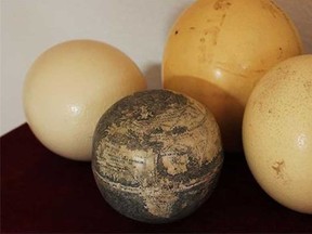 The ostrich-egg globe is believed to have been etched in 1504 (Stefaan Missinne/Washington Map Society)