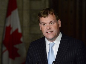 Foreign Affairs Minister John Baird. (File photo).  (THE CANADIAN PRESS/Adrian Wyld)