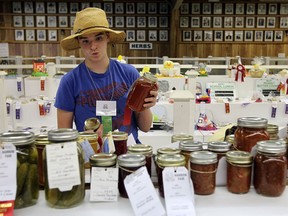 Dakoda Seguin assists the judges with the canned goods at the annual Harrow Fair in Harrow on Thursday, August 29, 2013.          (TYLER BROWNBRIDGE/The Windsor Star)