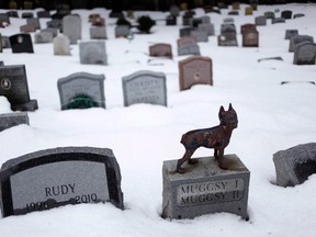 In this Jan. 19, 2011 file photo, headstones marking the graves of pets are spread throughout the Hartsdale Pet Cemetery in Hartsdale, N.Y. The New York Daily News reports on Saturday, Sept. 14, 2013, that officials in New York have finalized rules allowing pet cemeteries to accept the cremated remains of humans. (AP Photo/Seth Wenig, File)