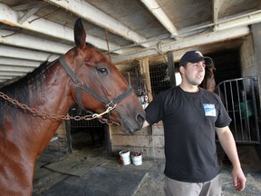 Horse trainer Greg Price, 31,  with miracle, one-eyed trotter Little Wubbs, at Leamington Fair Grounds stables Tuesday September 11, 2013. Little Wubbs lost an eye at a young age and was recently converted from a pacer to a trotter.  Little Wubbs has reeled off five wins as a trotter and will be one of the featured attraction at Leamington Fair Grounds track. (NICK BRANCACCIO/The Windsor Star)