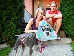 Owners Bruce Simpson and Sara Sanderson are hoping the owner of the German shepherd who attacked their 14-pound dog Bella will pay the vet bills. Unfortunately, the woman left without leaving her name or contact details at a park in Ottawa. (Cole Burston, Ottawa Citizen)