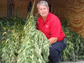 Const. Doug Goldsmith with seized marijuana plants. (Handout/CKPS)