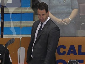 LaSalle's Andy Delmore was relieved of his duties as assistant coach of the OHL's Sarnia Sting on Tuesday.