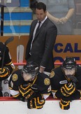 LaSalle's Andy Delmore was relieved of his duties as assistant coach of the OHL's Sarnia Sting on Tuesday.