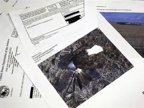 Pages from a U.S. Fish and Wildlife Office of Law Enforcement document the investigation of a dead bald eagle that was found at a wind farm in Iowa. (Associated Press/J. David Ake)