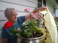 LaSalle resident Jean Glass holds up the remnants of a floating fire lantern found Monday morning stuck in a flower pot at the front of her and husband Peter GlassÕs home on Huron Church Line. The Glasses are concerned their house could have been set on fire by the charred lantern, which was likely fueled by the heat generated by a candle. (Julie Kotsis/THE WINDSOR STAR)
